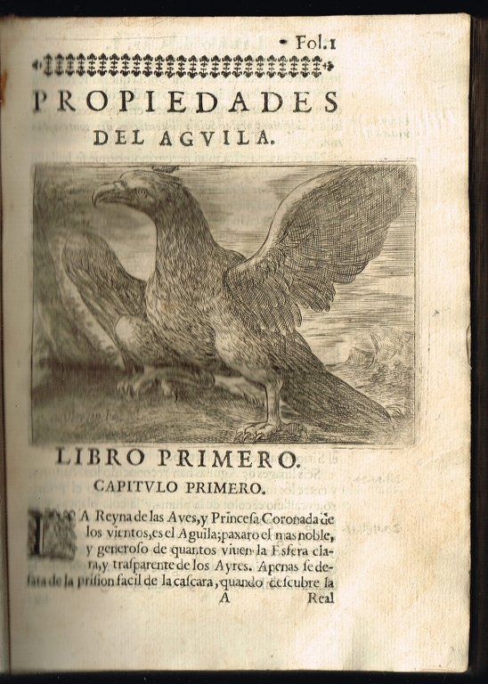 35869 govierno general moral e politico hallado en las aves mas generosas padre fray andres ferrer de valdecebro (3).jpg